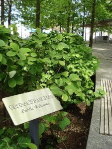 Central Wharf Park Sign
