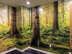 Forest Wall Graphic