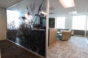 HNRG Privacy and Distraction Glass