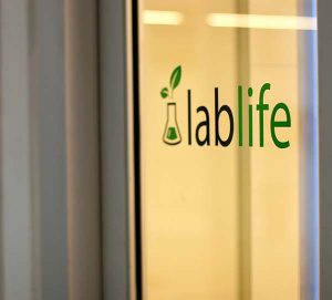 LabLife Vinyl Lettering and Logo