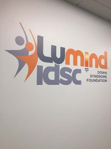 Lumind Vinyl Lettering and Logo