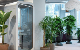 Multiple plants and privacy cube in office